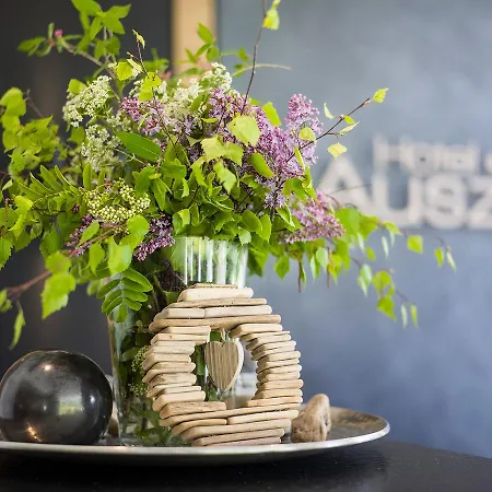 آوسزايت فندق بيرتيساو